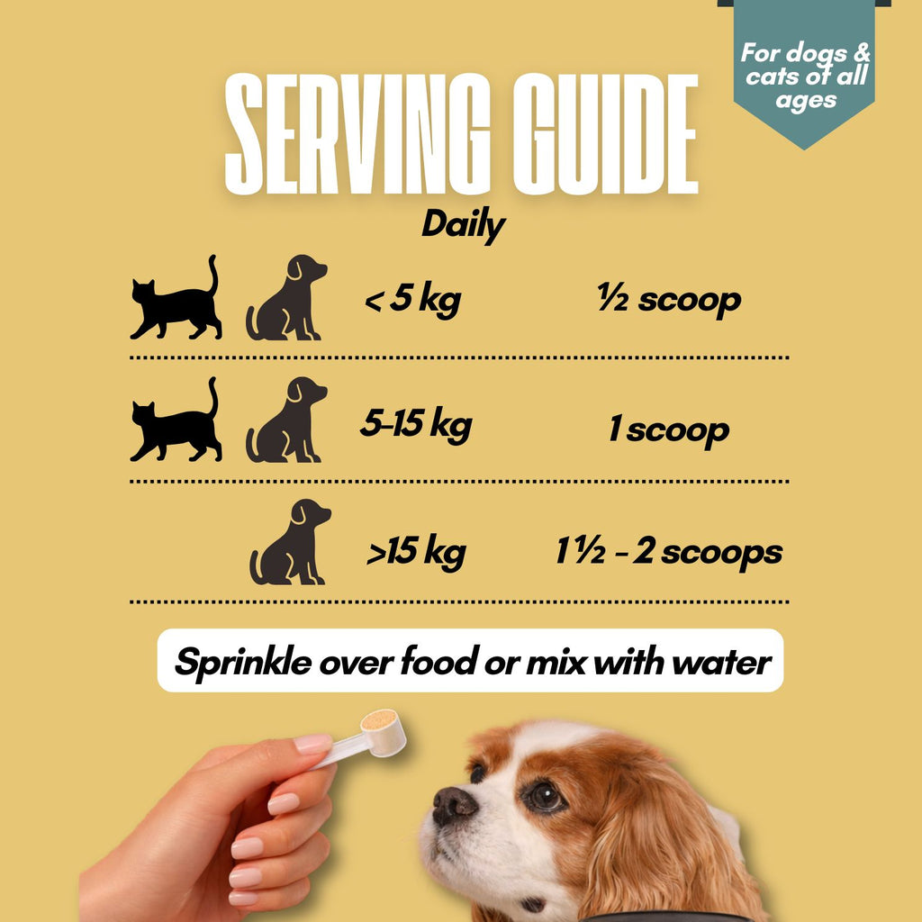 Holy Krill - Freeze Dried Krill Based Supplement for Cats and Dogs