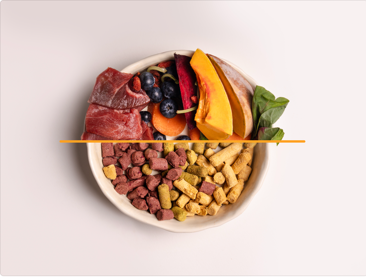 Joints Health - Freeze Dried Beef/ Chicken, Spinach & Turmeric